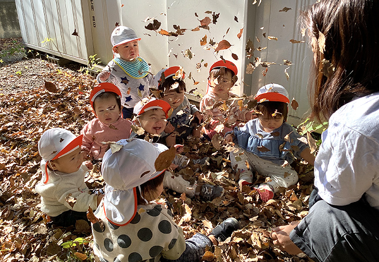 落ち葉のシャワー