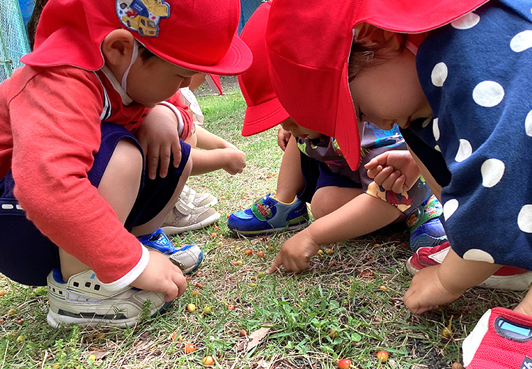 ダンゴムシ探し