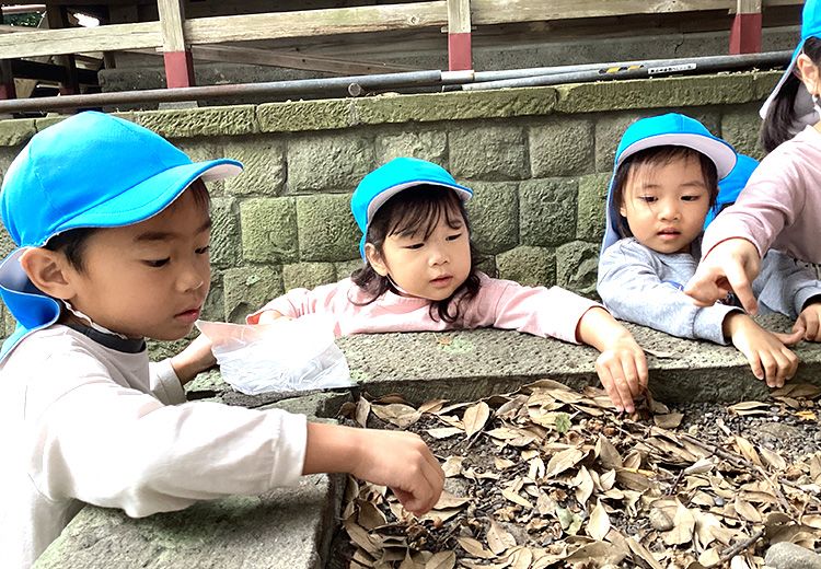 どんぐりひろい