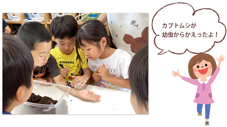カブトムシが
幼虫からかえったよ！